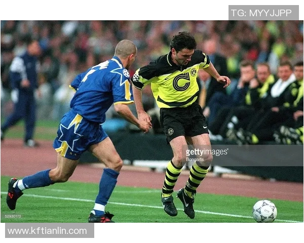 揭秘足球明星们青睐的顶级足球鞋品牌与型号分析