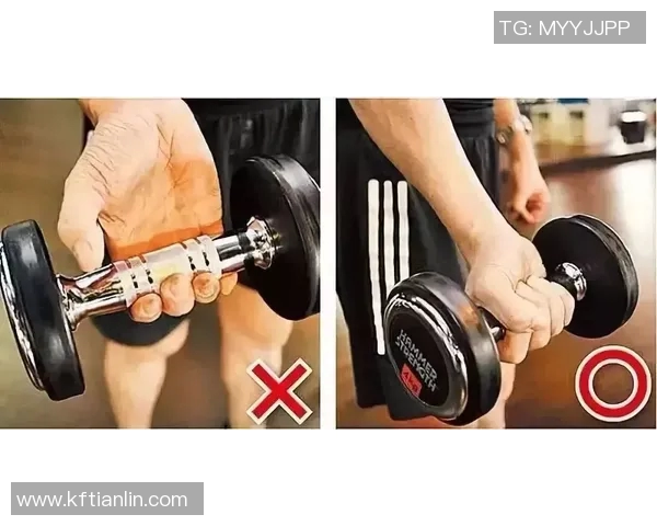 全面提升健身效果的哑铃套装选择指南与使用技巧分享